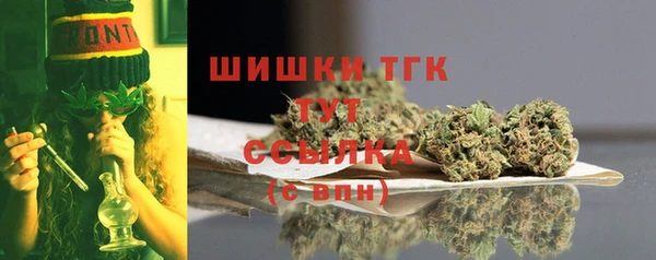 дурь Арсеньев