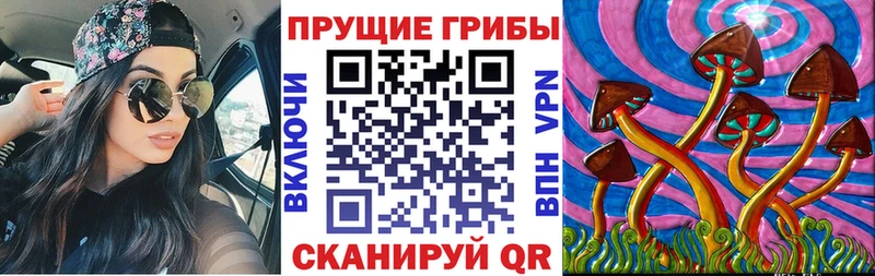 Галлюциногенные грибы Psilocybine cubensis  Артёмовск 